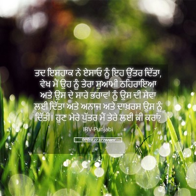 Picture 05 - ਪੈਦਾਇਸ਼ 27:37 PANIRV - ਤਦ ਇਸਹਾਕ ਨੇ ਏਸਾਓ - Bible Verse Picture