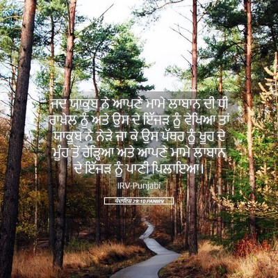 Picture 05 - ਪੈਦਾਇਸ਼ 29:10 PANIRV - ਜਦ ਯਾਕੂਬ ਨੇ ਆਪਣੇ - Bible Verse Picture