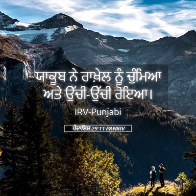 Picture 05 - ਪੈਦਾਇਸ਼ 29:11 PANIRV - ਯਾਕੂਬ ਨੇ ਰਾਖ਼ੇਲ - Bible Verse Picture