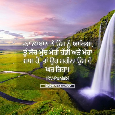 Picture 05 - ਪੈਦਾਇਸ਼ 29:14 PANIRV - ਤਦ ਲਾਬਾਨ ਨੇ ਉਸ ਨੂੰ - Bible Verse Picture