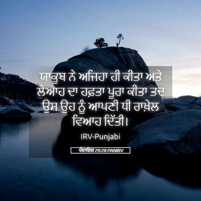 Picture 05 - ਪੈਦਾਇਸ਼ 29:28 PANIRV - ਯਾਕੂਬ ਨੇ ਅਜਿਹਾ ਹੀ - Bible Verse Picture