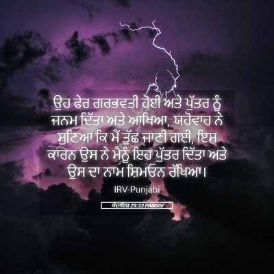 Picture 05 - ਪੈਦਾਇਸ਼ 29:33 PANIRV - ਉਹ ਫੇਰ ਗਰਭਵਤੀ ਹੋਈ - Bible Verse Picture