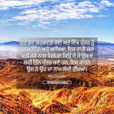 Picture 05 - ਪੈਦਾਇਸ਼ 29:34 PANIRV - ਉਹ ਫੇਰ ਗਰਭਵਤੀ ਹੋਈ - Bible Verse Picture