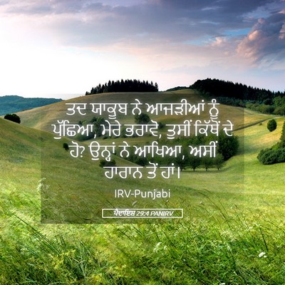Picture 05 - ਪੈਦਾਇਸ਼ 29:4 PANIRV - ਤਦ ਯਾਕੂਬ ਨੇ ਆਜੜੀਆਂ - Bible Verse Picture