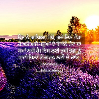 Picture 05 - ਪੈਦਾਇਸ਼ 29:7 PANIRV - ਉਸ ਨੇ ਆਖਿਆ, ਵੇਖੋ, - Bible Verse Picture