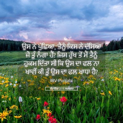 Picture 05 - ਪੈਦਾਇਸ਼ 3:11 PANIRV - ਉਸ ਨੇ ਪੁੱਛਿਆ, ਤੈਨੂੰ - Bible Verse Picture