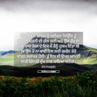 Picture 05 - ਪੈਦਾਇਸ਼ 3:17 PANIRV - ਫੇਰ ਉਸ ਨੇ ਆਦਮ ਨੂੰ - Bible Verse Picture