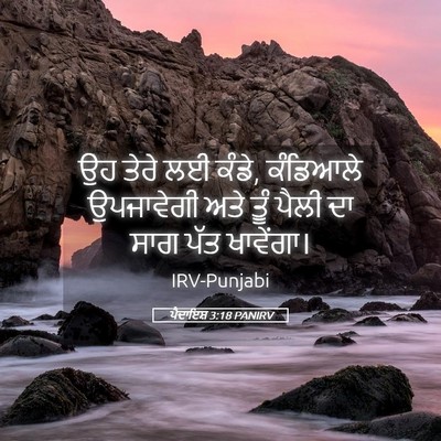 Picture 05 - ਪੈਦਾਇਸ਼ 3:18 PANIRV - ਉਹ ਤੇਰੇ ਲਈ ਕੰਡੇ, - Bible Verse Picture