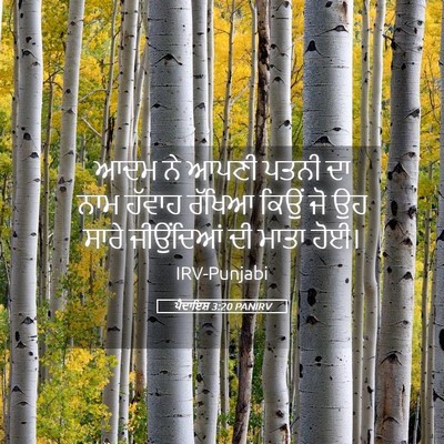 Picture 05 - ਪੈਦਾਇਸ਼ 3:20 PANIRV - ਆਦਮ ਨੇ ਆਪਣੀ ਪਤਨੀ ਦਾ - Bible Verse Picture