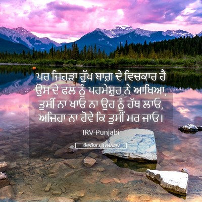 Picture 05 - ਪੈਦਾਇਸ਼ 3:3 PANIRV - ਪਰ ਜਿਹੜਾ ਰੁੱਖ ਬਾਗ਼ - Bible Verse Picture