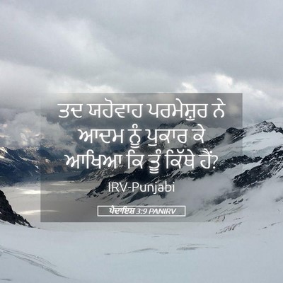 Picture 05 - ਪੈਦਾਇਸ਼ 3:9 PANIRV - ਤਦ ਯਹੋਵਾਹ - Bible Verse Picture