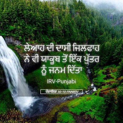 Picture 05 - ਪੈਦਾਇਸ਼ 30:10 PANIRV - ਲੇਆਹ ਦੀ ਦਾਸੀ - Bible Verse Picture