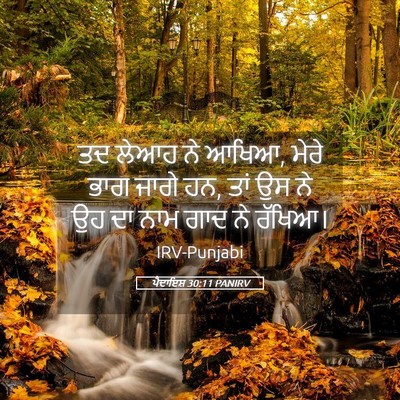 Picture 05 - ਪੈਦਾਇਸ਼ 30:11 PANIRV - ਤਦ ਲੇਆਹ ਨੇ ਆਖਿਆ, - Bible Verse Picture