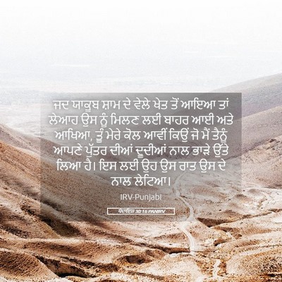 Picture 05 - ਪੈਦਾਇਸ਼ 30:16 PANIRV - ਜਦ ਯਾਕੂਬ ਸ਼ਾਮ ਦੇ - Bible Verse Picture