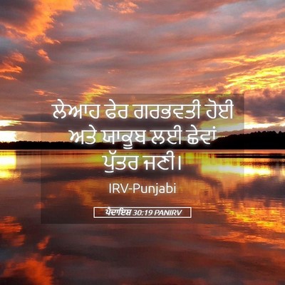 Picture 05 - ਪੈਦਾਇਸ਼ 30:19 PANIRV - ਲੇਆਹ ਫੇਰ ਗਰਭਵਤੀ - Bible Verse Picture