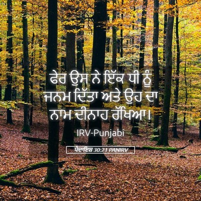 Picture 05 - ਪੈਦਾਇਸ਼ 30:21 PANIRV - ਫੇਰ ਉਸ ਨੇ ਇੱਕ ਧੀ - Bible Verse Picture
