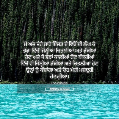 Picture 05 - ਪੈਦਾਇਸ਼ 30:32 PANIRV - ਮੈਂ ਅੱਜ ਤੇਰੇ ਸਾਰੇ - Bible Verse Picture
