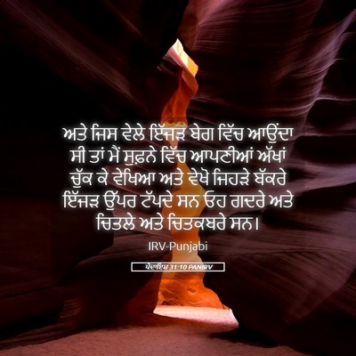 Picture 05 - ਪੈਦਾਇਸ਼ 31:10 PANIRV - ਅਤੇ ਜਿਸ ਵੇਲੇ ਇੱਜੜ - Bible Verse Picture