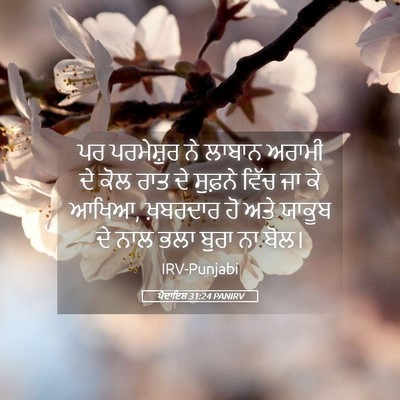 Picture 05 - ਪੈਦਾਇਸ਼ 31:24 PANIRV - ਪਰ ਪਰਮੇਸ਼ੁਰ ਨੇ - Bible Verse Picture