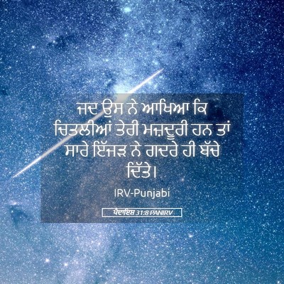 Picture 05 - ਪੈਦਾਇਸ਼ 31:8 PANIRV - ਜਦ ਉਸ ਨੇ ਆਖਿਆ ਕਿ - Bible Verse Picture