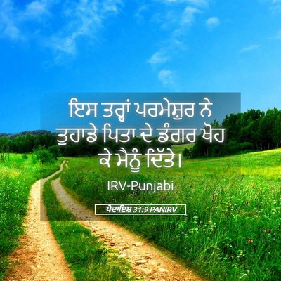 Picture 05 - ਪੈਦਾਇਸ਼ 31:9 PANIRV - ਇਸ ਤਰ੍ਹਾਂ - Bible Verse Picture