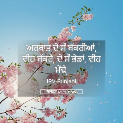 Picture 05 - ਪੈਦਾਇਸ਼ 32:14 PANIRV - ਅਰਥਾਤ ਦੋ ਸੌ - Bible Verse Picture