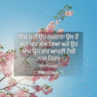 Picture 05 - ਪੈਦਾਇਸ਼ 32:21 PANIRV - ਇਸ ਲਈ ਉਹ ਨਜ਼ਰਾਨਾ ਉਸ - Bible Verse Picture