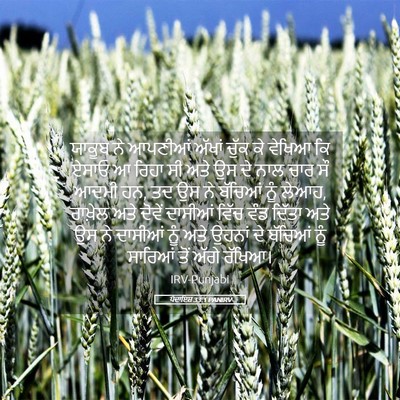 Picture 05 - ਪੈਦਾਇਸ਼ 33:1 PANIRV - ਯਾਕੂਬ ਨੇ ਆਪਣੀਆਂ - Bible Verse Picture