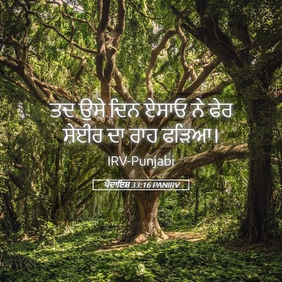 Picture 05 - ਪੈਦਾਇਸ਼ 33:16 PANIRV - ਤਦ ਉਸੇ ਦਿਨ ਏਸਾਓ ਨੇ - Bible Verse Picture