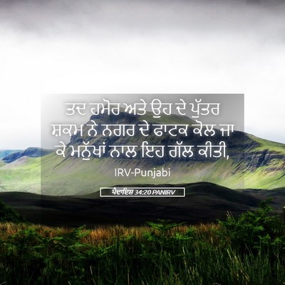 Picture 05 - ਪੈਦਾਇਸ਼ 34:20 PANIRV - ਤਦ ਹਮੋਰ ਅਤੇ ਉਹ ਦੇ - Bible Verse Picture