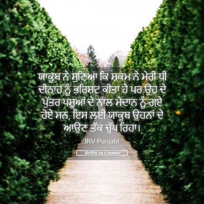Picture 05 - ਪੈਦਾਇਸ਼ 34:5 PANIRV - ਯਾਕੂਬ ਨੇ ਸੁਣਿਆ ਕਿ - Bible Verse Picture