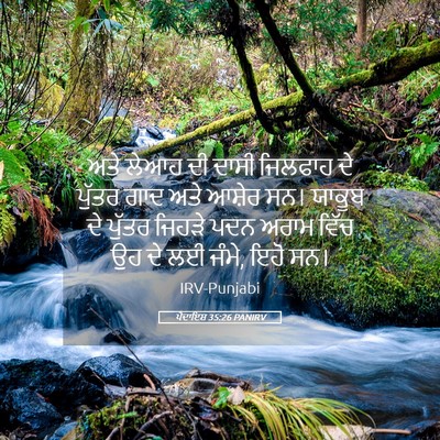 Picture 05 - ਪੈਦਾਇਸ਼ 35:26 PANIRV - ਅਤੇ ਲੇਆਹ ਦੀ ਦਾਸੀ - Bible Verse Picture