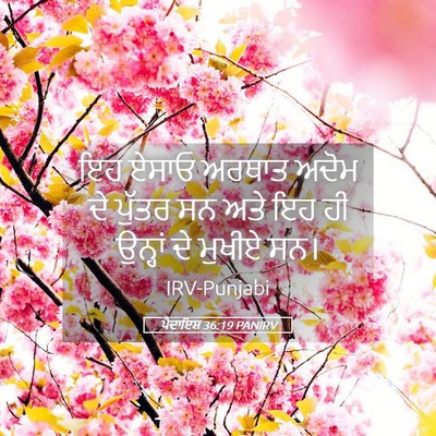 Picture 05 - ਪੈਦਾਇਸ਼ 36:19 PANIRV - ਇਹ ਏਸਾਓ ਅਰਥਾਤ ਅਦੋਮ - Bible Verse Picture