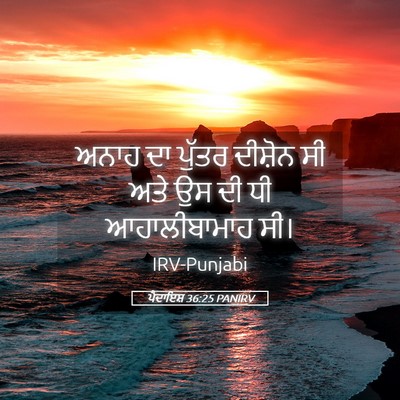 Picture 05 - ਪੈਦਾਇਸ਼ 36:25 PANIRV - ਅਨਾਹ ਦਾ ਪੁੱਤਰ - Bible Verse Picture