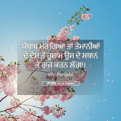 Picture 05 - ਪੈਦਾਇਸ਼ 36:34 PANIRV - ਯੋਬਾਬ ਮਰ ਗਿਆ ਤਾਂ - Bible Verse Picture