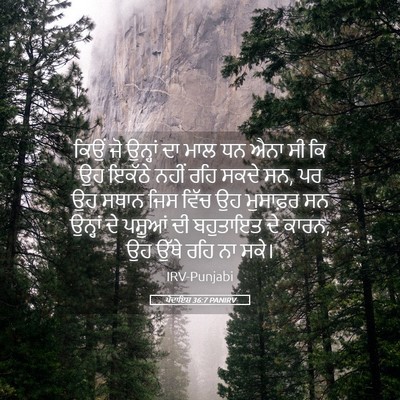 Picture 05 - ਪੈਦਾਇਸ਼ 36:7 PANIRV - ਕਿਉਂ ਜੋ ਉਨ੍ਹਾਂ ਦਾ - Bible Verse Picture