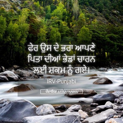Picture 05 - ਪੈਦਾਇਸ਼ 37:12 PANIRV - ਫੇਰ ਉਸ ਦੇ ਭਰਾ ਆਪਣੇ - Bible Verse Picture