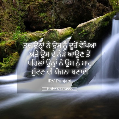 Picture 05 - ਪੈਦਾਇਸ਼ 37:18 PANIRV - ਤਦ ਉਨ੍ਹਾਂ ਨੇ ਉਸ ਨੂੰ - Bible Verse Picture