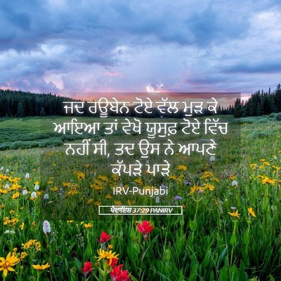 Picture 05 - ਪੈਦਾਇਸ਼ 37:29 PANIRV - ਜਦ ਰਊਬੇਨ ਟੋਏ ਵੱਲ - Bible Verse Picture