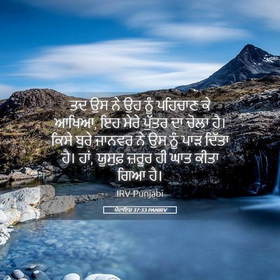 Picture 05 - ਪੈਦਾਇਸ਼ 37:33 PANIRV - ਤਦ ਉਸ ਨੇ ਉਹ ਨੂੰ - Bible Verse Picture