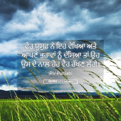 Picture 05 - ਪੈਦਾਇਸ਼ 37:5 PANIRV - ਫੇਰ ਯੂਸੁਫ਼ ਨੇ ਇਹ - Bible Verse Picture