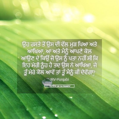 Picture 05 - ਪੈਦਾਇਸ਼ 38:16 PANIRV - ਉਹ ਰਸਤੇ ਤੋਂ ਉਸ ਦੀ - Bible Verse Picture