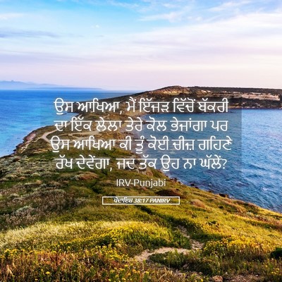Picture 05 - ਪੈਦਾਇਸ਼ 38:17 PANIRV - ਉਸ ਆਖਿਆ, ਮੈਂ ਇੱਜੜ - Bible Verse Picture