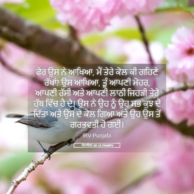 Picture 05 - ਪੈਦਾਇਸ਼ 38:18 PANIRV - ਫੇਰ ਉਸ ਨੇ ਆਖਿਆ, ਮੈਂ - Bible Verse Picture