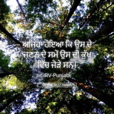 Picture 05 - ਪੈਦਾਇਸ਼ 38:27 PANIRV - ਅਜਿਹਾ ਹੋਇਆ ਕਿ ਉਸ ਦੇ - Bible Verse Picture