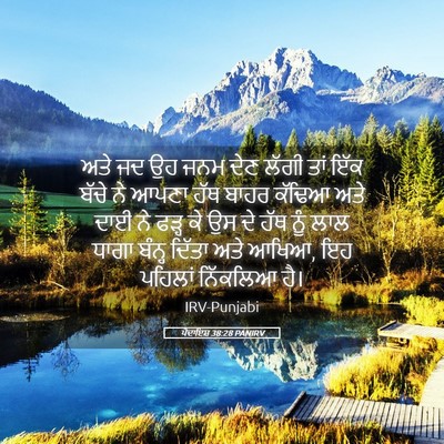 Picture 05 - ਪੈਦਾਇਸ਼ 38:28 PANIRV - ਅਤੇ ਜਦ ਉਹ ਜਨਮ ਦੇਣ - Bible Verse Picture