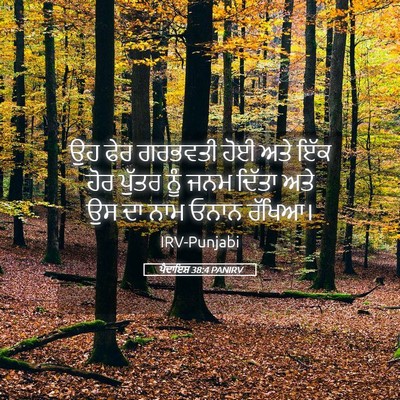 Picture 05 - ਪੈਦਾਇਸ਼ 38:4 PANIRV - ਉਹ ਫੇਰ ਗਰਭਵਤੀ ਹੋਈ - Bible Verse Picture