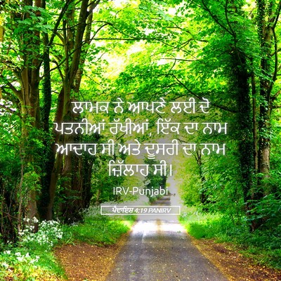 Picture 05 - ਪੈਦਾਇਸ਼ 4:19 PANIRV - ਲਾਮਕ ਨੇ ਆਪਣੇ ਲਈ ਦੋ - Bible Verse Picture