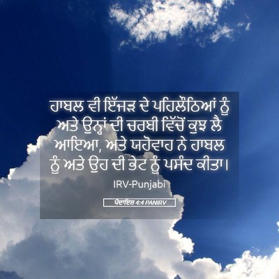 Picture 05 - ਪੈਦਾਇਸ਼ 4:4 PANIRV - ਹਾਬਲ ਵੀ ਇੱਜੜ ਦੇ - Bible Verse Picture