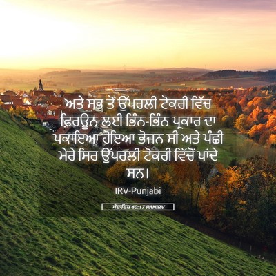 Picture 05 - ਪੈਦਾਇਸ਼ 40:17 PANIRV - ਅਤੇ ਸਭ ਤੋਂ ਉੱਪਰਲੀ - Bible Verse Picture